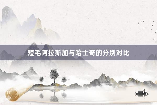 短毛阿拉斯加与哈士奇的分别对比