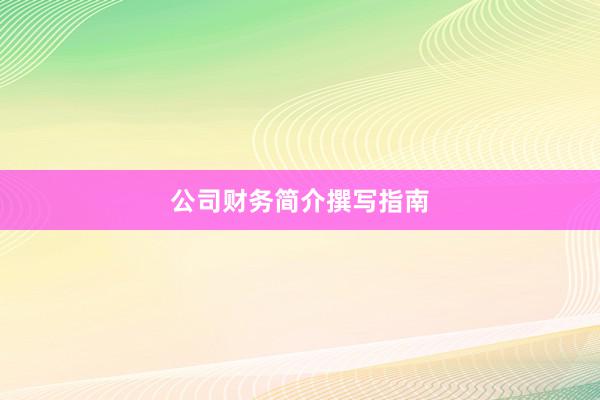 公司财务简介撰写指南