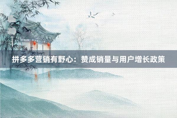 拼多多营销有野心：赞成销量与用户增长政策